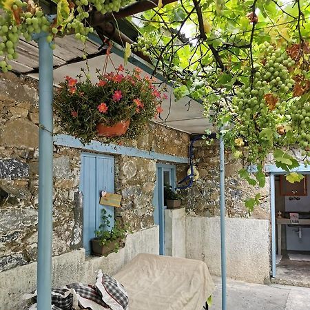 Holiday House Prodromos Dış mekan fotoğraf