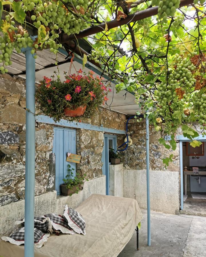 Holiday House Prodromos Dış mekan fotoğraf