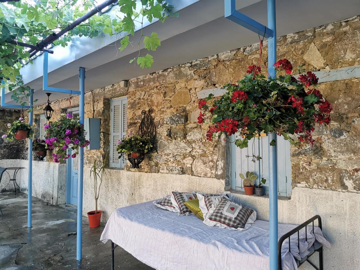 Holiday House Prodromos Dış mekan fotoğraf
