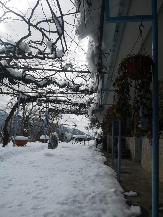 Holiday House Prodromos Dış mekan fotoğraf