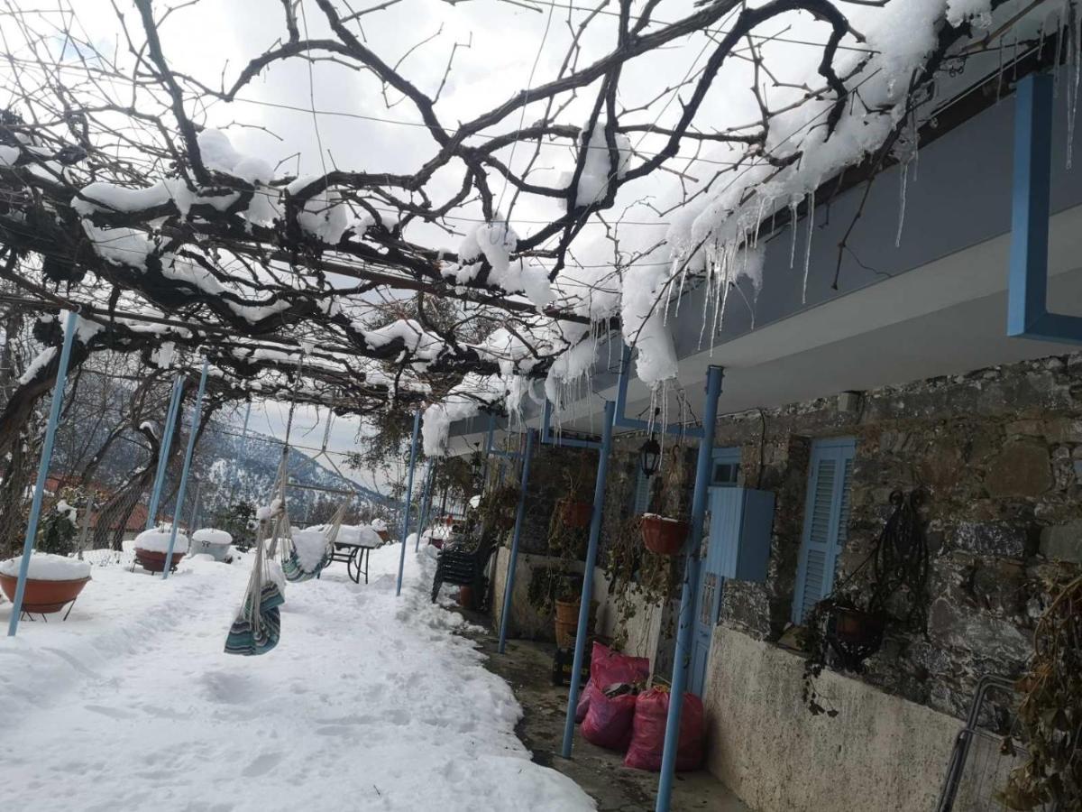 Holiday House Prodromos Dış mekan fotoğraf