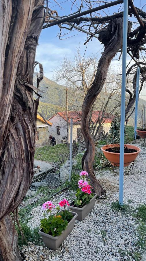 Holiday House Prodromos Dış mekan fotoğraf