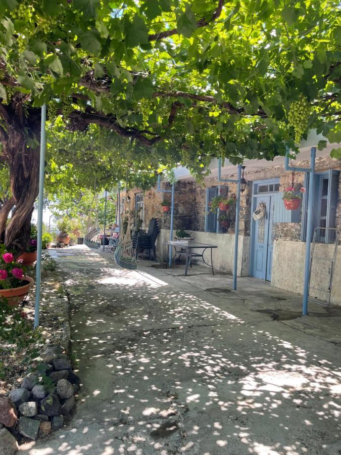 Holiday House Prodromos Dış mekan fotoğraf